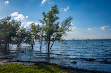 Bregenz yakınlarındaki Constance Gölü 'nde dinlenme ve yat limanında dinlenme yeri.