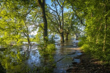 Vorarlberg, Bregenz 'deki Constance Gölü' nün taşkın bölgesi.