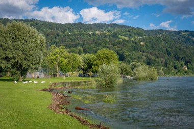 Avusturya 'nın Vorarlberg kentindeki Lochau' daki Schwarzbad 'daki Constance Gölü' nde sağanak yağmurdan sonra sel 