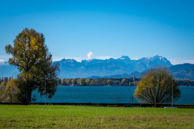 flood after heavy rain at the lake Constance at the Schwarzbad in Lochau in Vorarlberg, Austria  clipart