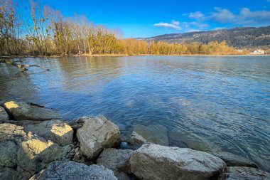 Avusturya, Vorarlberg 'deki Constance Gölü' ndeki Leiblachmuendung 'daki koruma alanında dinlenme.