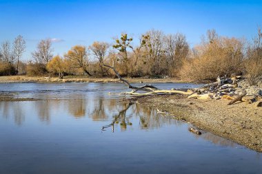 Avusturya 'nın Vorarlberg kentindeki Constance Gölü' nde Leiblachmuendung 'da bir koruma alanında yerel dinlenme alanı.