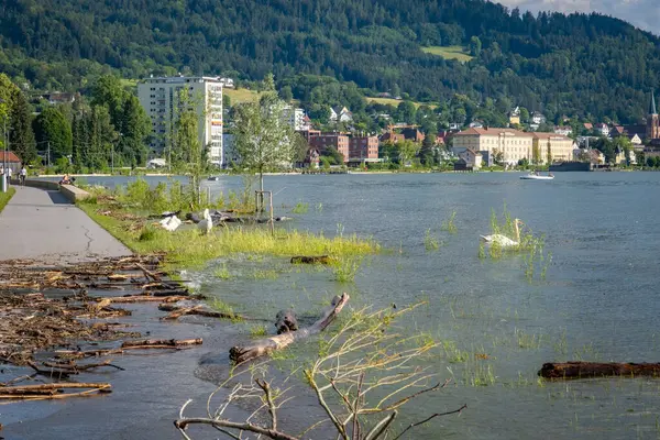 stock image flood at the way from Lochau to Bregenz at the old Pipeline in Vorarlberg, Austria