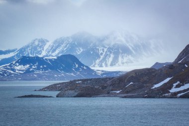 Spitsbergen 'de Hamiltonbukta' da dolaşmak ve buzullar boyunca araba sürmek ve kuşları izlemek.