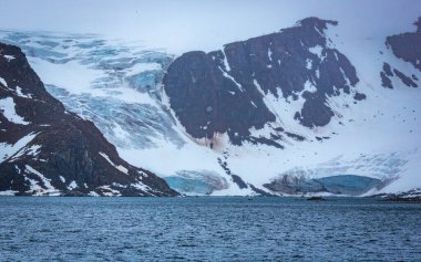 Cruising in the Hamiltonbukta on Spitsbergen and driving along glacier und bird watching clipart