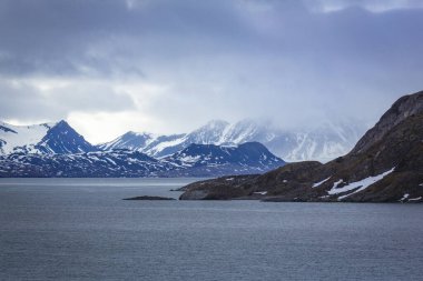 Spitsbergen 'de Hamiltonbukta' da dolaşmak ve buzullar boyunca araba sürmek ve kuşları izlemek.