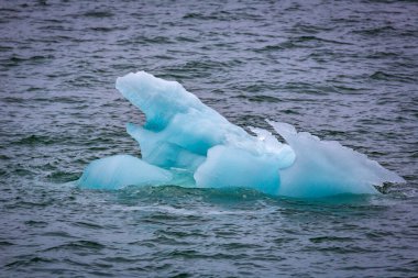 Spitsbergen 'de Hamiltonbukta' da dolaşmak ve buzullar boyunca araba sürmek ve kuşları izlemek.