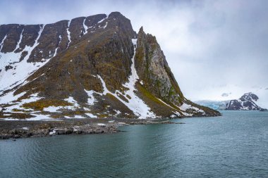 Spitsbergen 'de Hamiltonbukta' da dolaşmak ve buzullar boyunca araba sürmek ve kuşları izlemek.