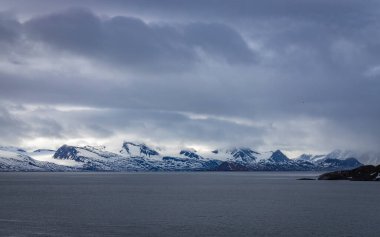 Spitsbergen 'de Hamiltonbukta' da dolaşmak ve buzullar boyunca araba sürmek ve kuşları izlemek.
