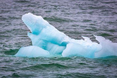 Spitsbergen 'de Hamiltonbukta' da dolaşmak ve buzullar boyunca araba sürmek ve kuşları izlemek.