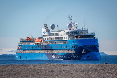 Svalbard 'a Nordaustlandet seferi ve bir deniz aygırı kolonisini ziyaret.