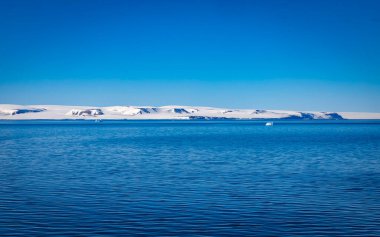 Svalbard 'a Nordaustlandet seferi ve bir deniz aygırı kolonisini ziyaret.