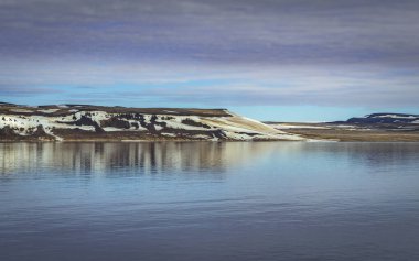 Svalbard 'a Nordaustlandet seferi ve bir deniz aygırı kolonisini ziyaret.