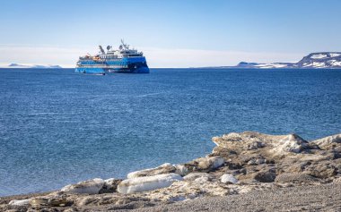 Svalbard 'a Nordaustlandet seferi ve bir deniz aygırı kolonisini ziyaret.