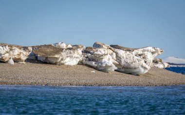 Svalbard 'a Nordaustlandet seferi ve bir deniz aygırı kolonisini ziyaret.