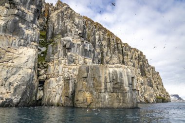 Svalbard, Norveç 'teki Spitsbergen ve Nordaustlandet arasındaki Alkefjellet' teki kayalıklar küçük buzdağı ve buzullar