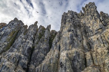 Svalbard, Norveç 'teki Spitsbergen ve Nordaustlandet arasındaki Alkefjellet' teki kayalar ve buzullar