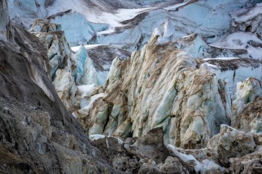 Norveç, Svalbard 'daki Spitsbergen ve Nordaustlandet arasında Alkefjellet' teki buzulun yanında geziniyor.