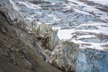 Norveç, Svalbard 'daki Spitsbergen ve Nordaustlandet arasında Alkefjellet' teki buzulun yanında geziniyor.