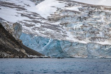 Norveç, Svalbard 'daki Spitsbergen ve Nordaustlandet arasında Alkefjellet' teki buzulun yanında geziniyor.