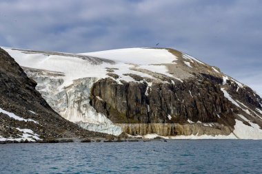 Norveç, Svalbard 'daki Spitsbergen ve Nordaustlandet arasında Alkefjellet' teki buzulun yanında geziniyor.