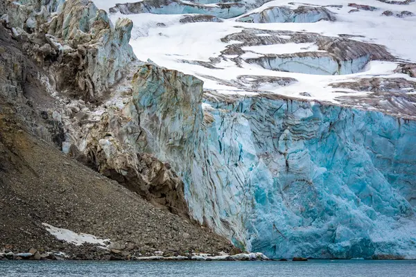 Norveç, Svalbard 'daki Spitsbergen ve Nordaustlandet arasında Alkefjellet' teki buzulun yanında geziniyor.