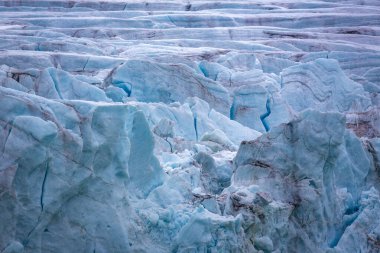Buzul boyunca Svalbard 'daki Magdalensfjord' da Kuzey Kutbu 'nda dolaşmak.