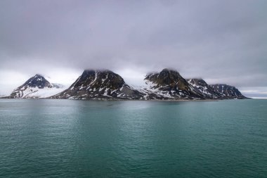 Norveç 'in Svalbard kentindeki Magdalensfjorden' da Kuzey Kutbu 'nda geziniyor.