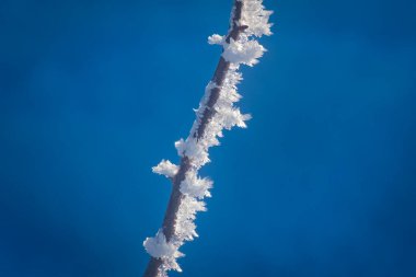 Avusturya 'nın Vorarlberg kentindeki Moeggers' da harika bir kış harikalar diyarında kar kristallerinin yakın çekimi