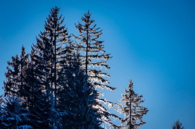 Avusturya 'daki Vorarlberg' deki Mggers 'da harika kışın harikalar diyarı