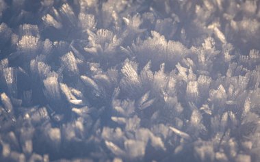 Avusturya 'nın Vorarlberg kentindeki Moeggers' da harika bir kış harikalar diyarında kar kristallerinin yakın çekimi