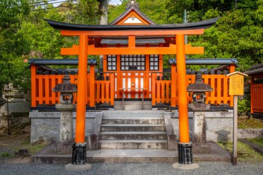 Japonya 'da Kyoto yakınlarındaki ilginç Fushimi Inari Tapınağı' na yürüyorum.