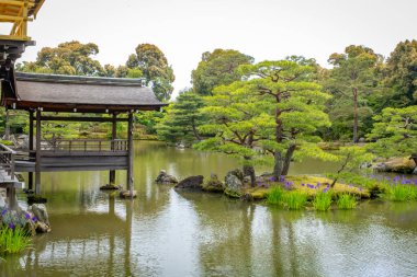 Japonya 'da Kyoto yakınlarındaki Kyoto Ginkakuki Tapınağını ziyaret ediyorum.