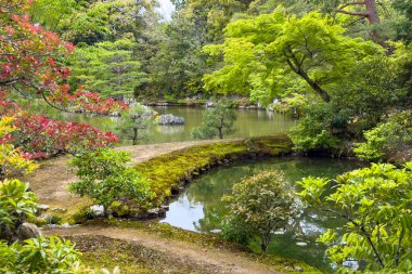 Japonya 'da Kyoto yakınlarındaki Kyoto Ginkakuki Tapınağını ziyaret ediyorum.