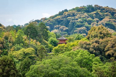 Japonya 'daki Kyoto' daki önemli dini yeri ziyaret ediyor.