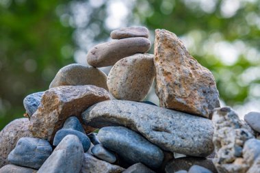Japonya 'da bir Wasabi çiftliğini ve Matsumoto yakınlarında bir su değirmenini ziyaret etmek.