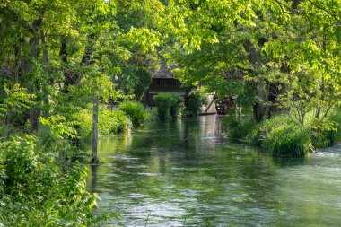 Japonya 'da Matsumoto yakınlarındaki bir wasabi çiftliğinde harika bir su değirmenini ziyaret etmek.