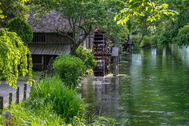 Japonya 'da Matsumoto yakınlarındaki bir wasabi çiftliğinde harika bir su değirmenini ziyaret etmek.