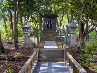 Japonya 'da bir Wasabi çiftliğini ve Matsumoto yakınlarında bir su değirmenini ziyaret etmek.