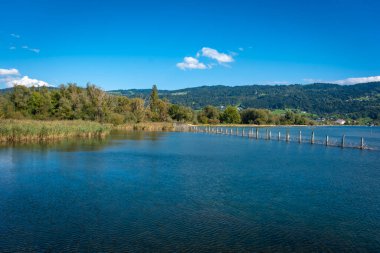 relaxing at the local recreation area at Lake Constance