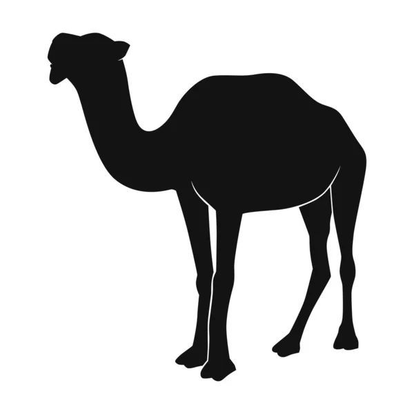 黑色骆驼图解 动物卡通画 白色背景隔离 — 图库矢量图片