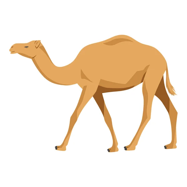 Верблюжья Векторная Иллюстрация Белом Карикатурном Пустынном Животном — стоковый вектор