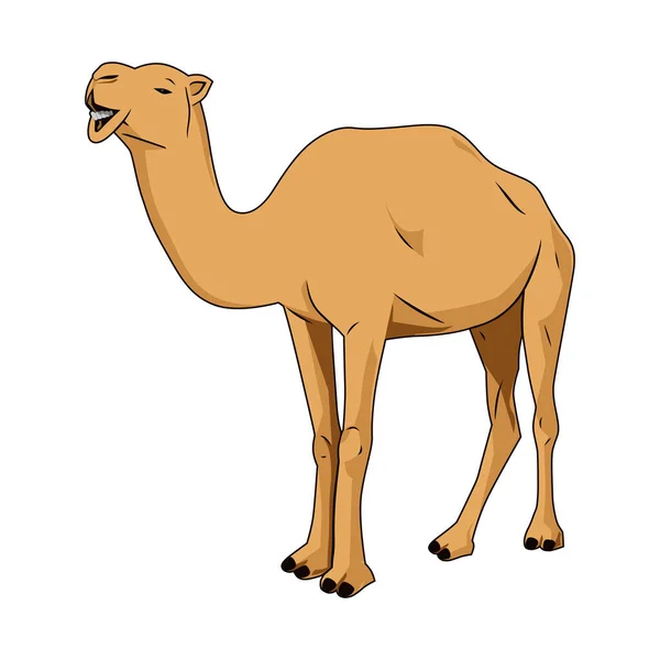 Ilustração Vetor Camelo Branco Desenho Animado Desenho Animado Animal — Vetor de Stock