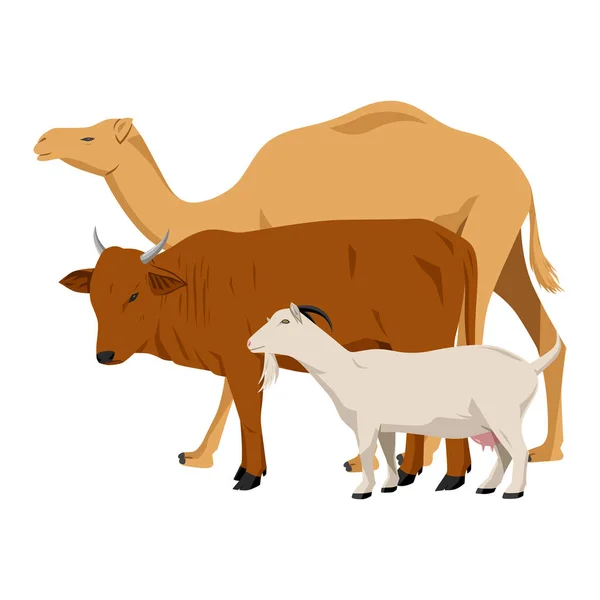 Ilustracja Wektora Wielbłąda Krowy Kozy Kreskówka Zwierząt Ssaki Zwierząt — Wektor stockowy