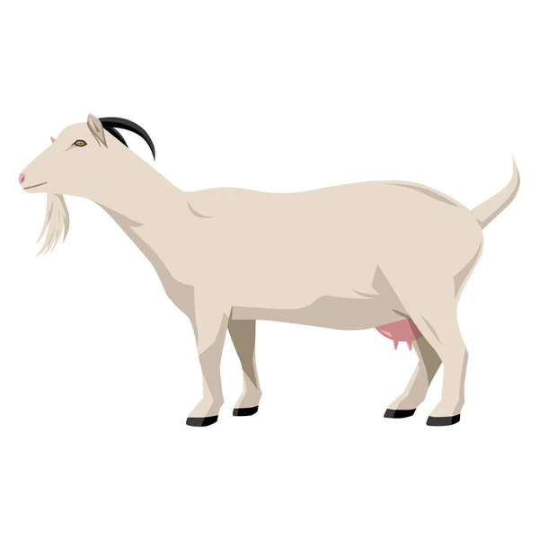 Goat Vector Illustration Isolated White Background Farm Animal — Stock Vector