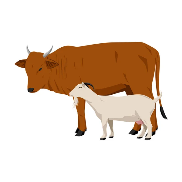 Cow Och Get Vektor Illustration Djur Tecknad Film Två Favoritdjur — Stock vektor