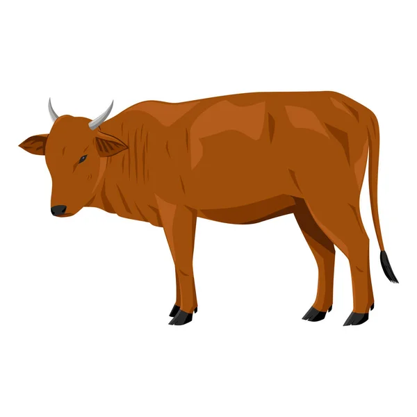 Krowa Kolorze Brązowym Ilustracja Wektor Ssak Zwierząt Realistyczny Projekt — Wektor stockowy