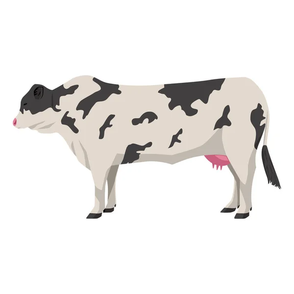 Kuhvektordarstellung Isoliert Auf Weißem Hintergrund Weiße Kuh Mit Schwarzem Muster — Stockvektor