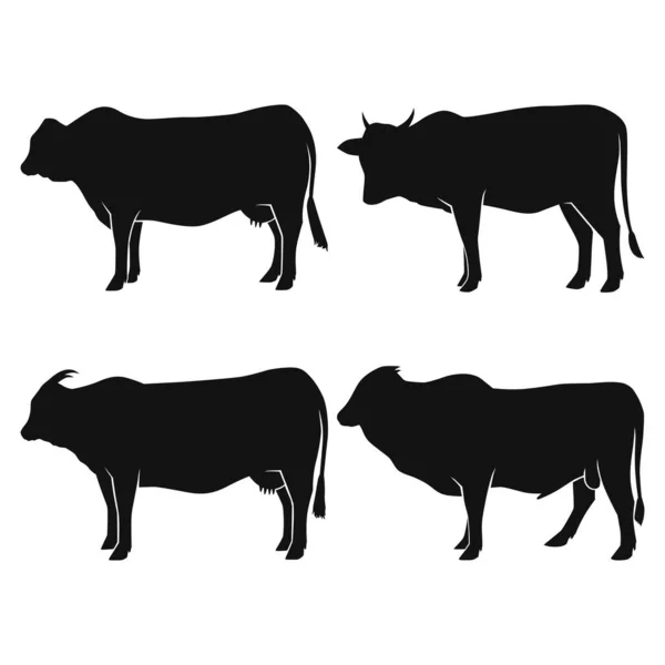 Zestaw Prosty Ilustracja Krowy Obwód Farma Czarno Biały Rysunek Ręcznie — Wektor stockowy