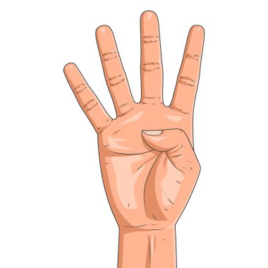 Erkek el, beyaz arka planda izole edilmiş dört parmak gösteriyor. Gerçekçi dört parmak yukarı. Vektör illüstrasyonu
